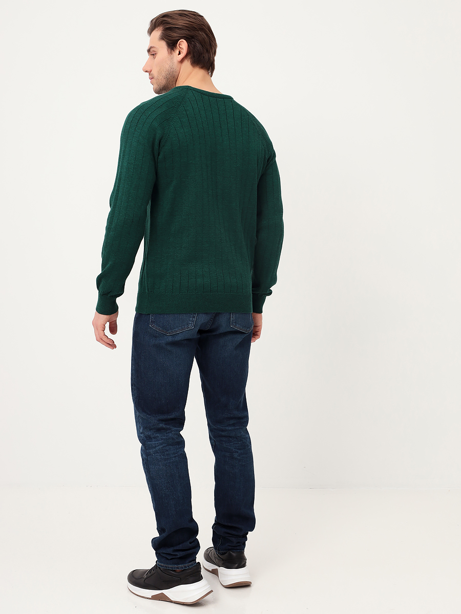 G121-35236-лапша (изумруд) Джемпер мужской