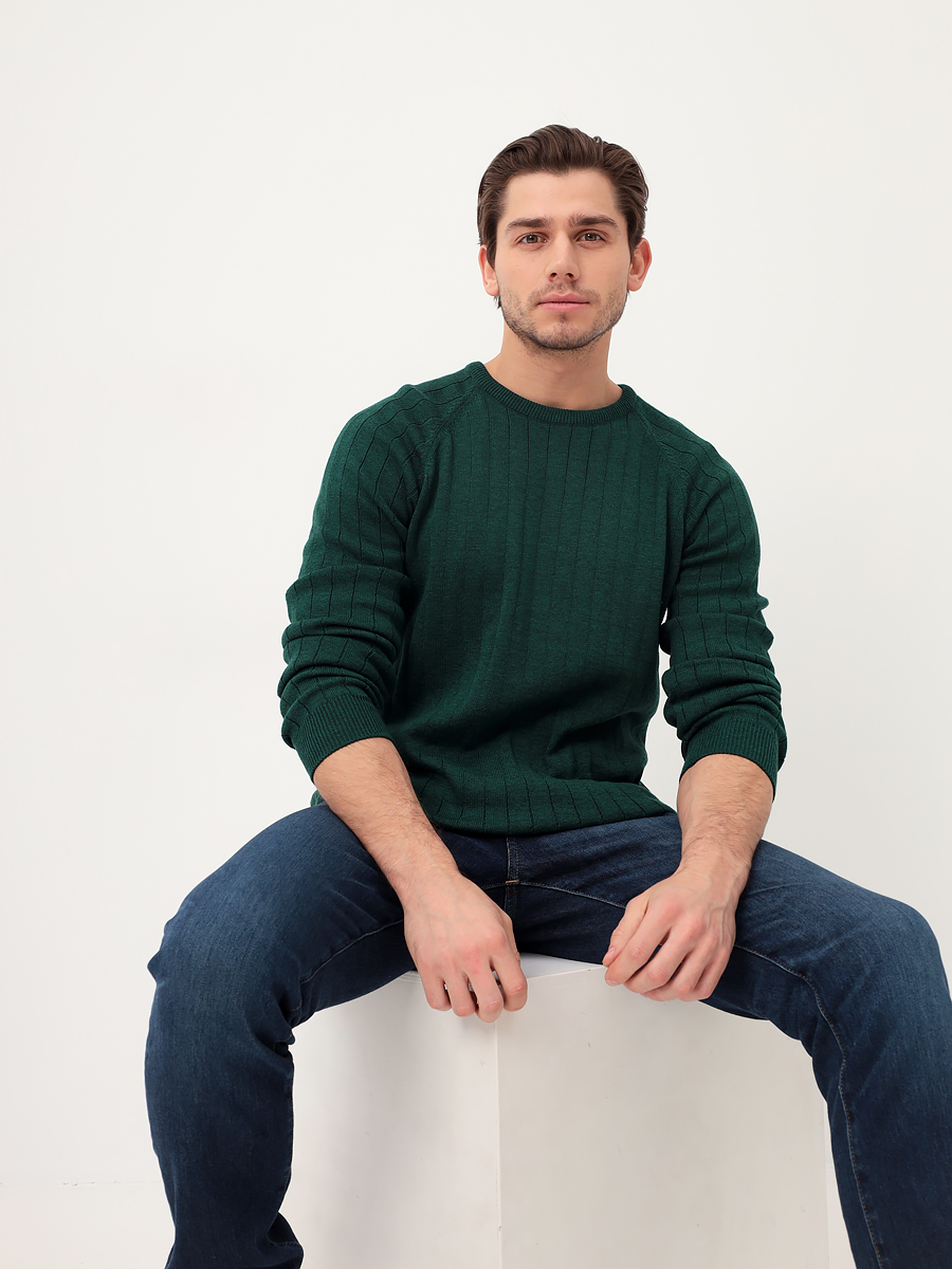 G121-35236-лапша (изумруд) Джемпер мужской