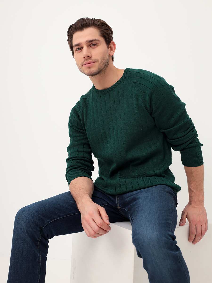 G121-35236-лапша (изумруд) Джемпер мужской