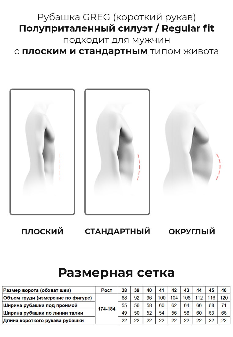 725/101/5473/Z/1 Сорочка мужская короткий рукав