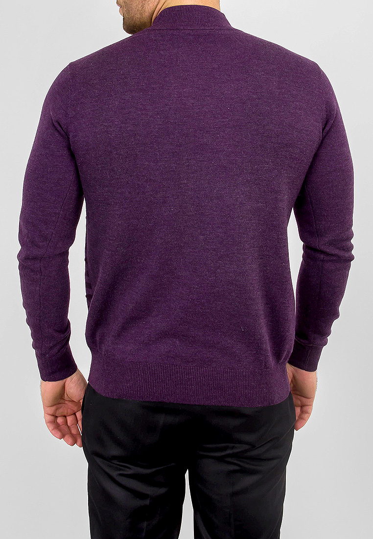 G121-12-полосы (т.фиол./бордо) Джемпер мужской