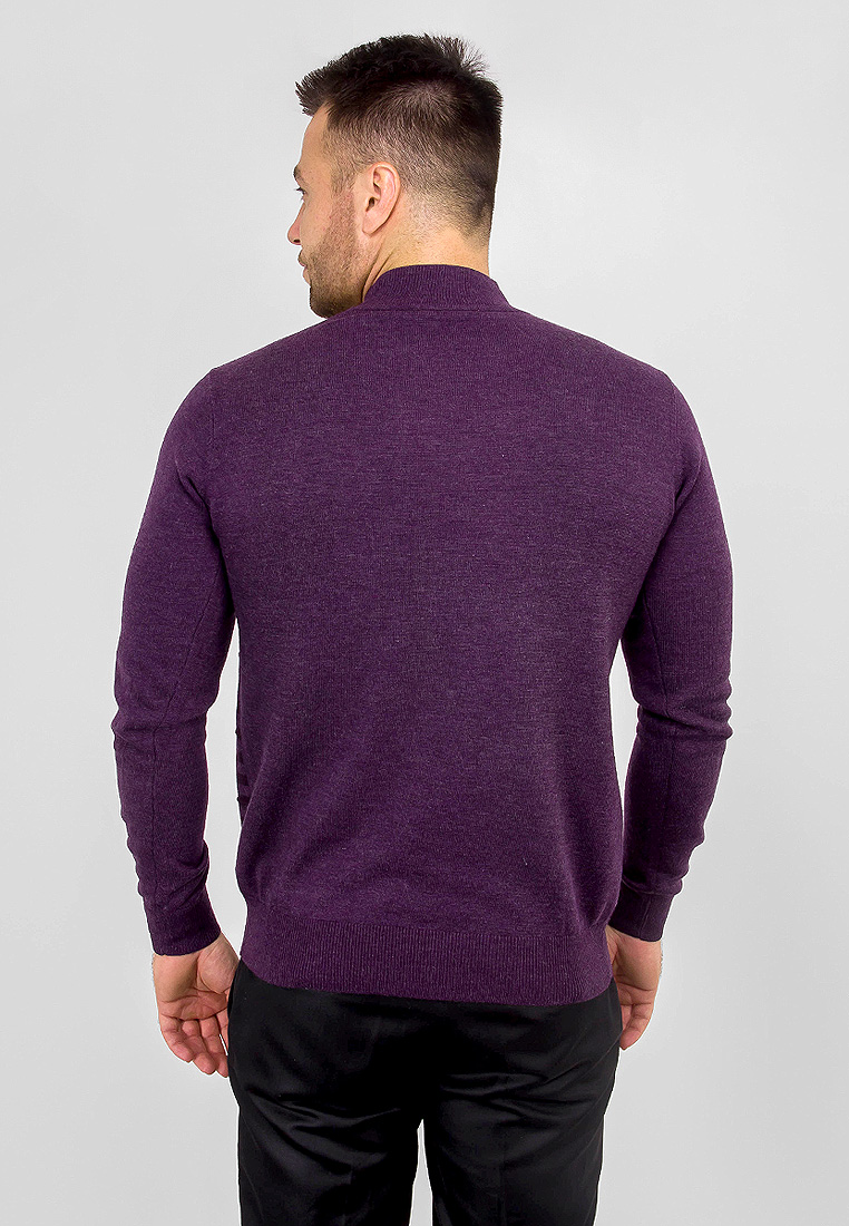 G121-12-полосы (т.фиол./бордо) Джемпер мужской