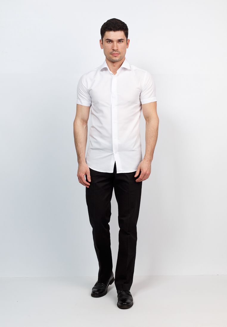 115/109/572/ZV Сорочка мужская короткий рукав