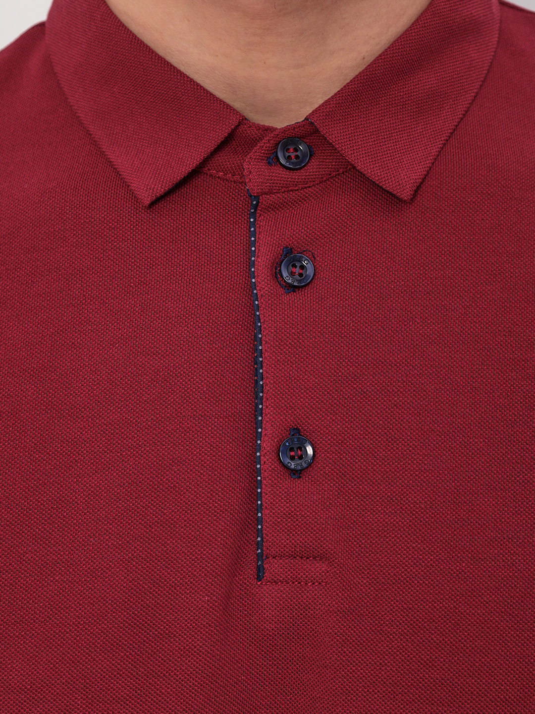 G155-PO1246-CTR2085 (бордовый) Джемпер мужской с воротником поло
