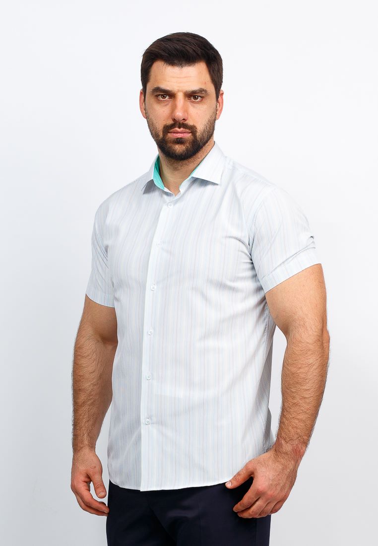 141/109/59/Z/1 Сорочка мужская короткий рукав