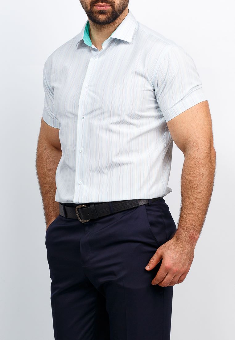 141/109/59/Z/1 Сорочка мужская короткий рукав