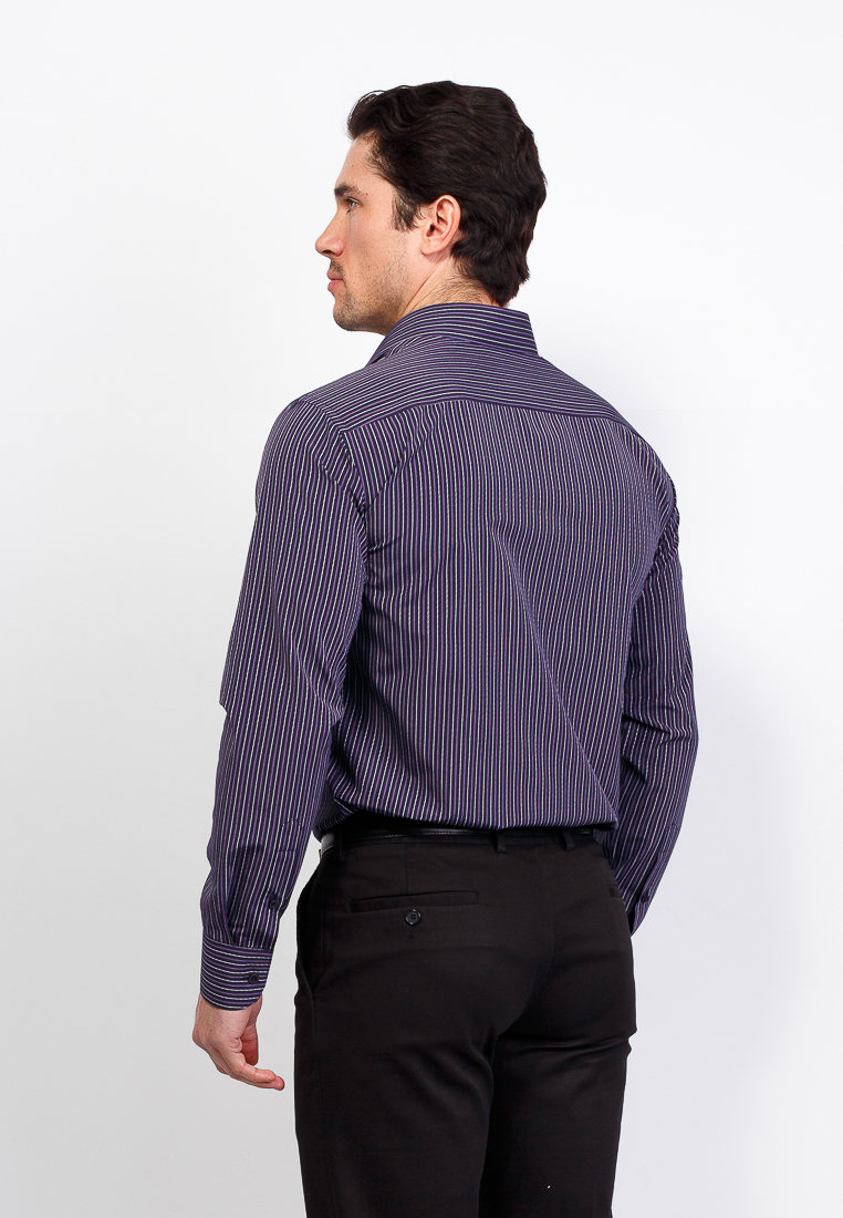 c231/15/646/Z Сорочка мужская длинный рукав