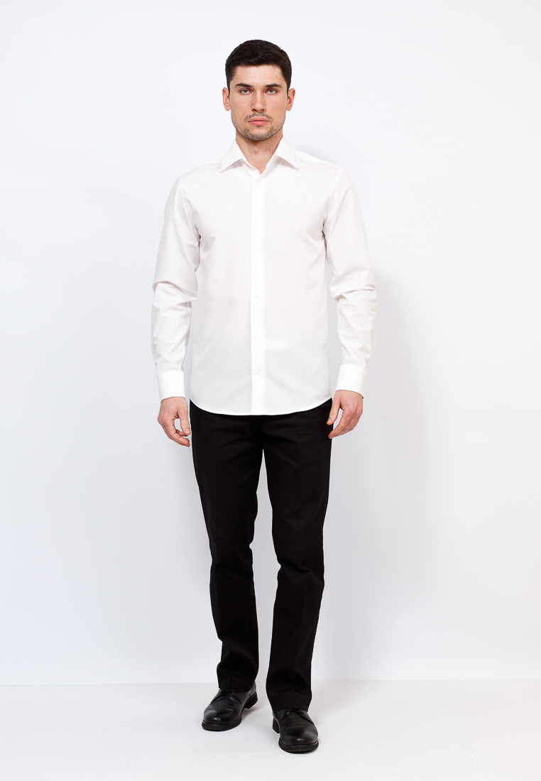 510/399/ALT/ZV Сорочка мужская длинный рукав