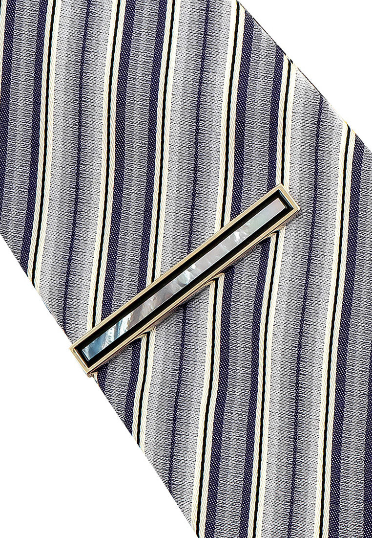 169013 Зажим для галстука в подарочной коробке