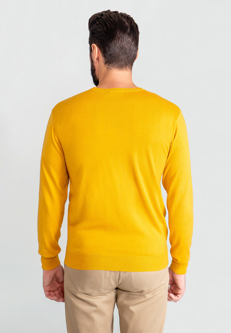 G121-AC023 (горчица) Джемпер мужской