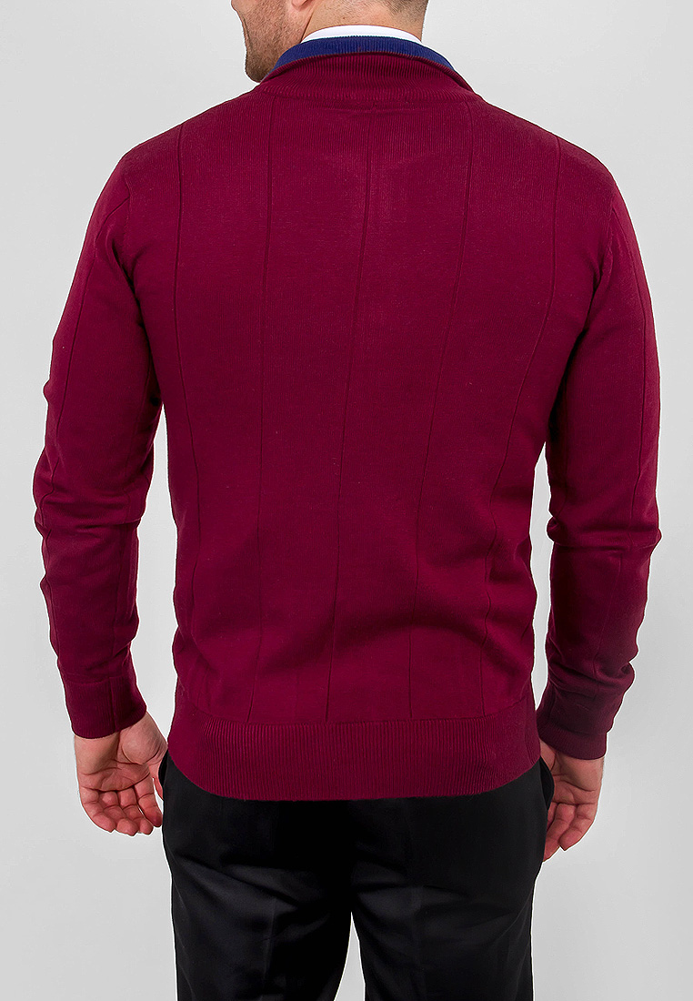G139-12-лапша D2 (бордо/синий) Жакет мужской