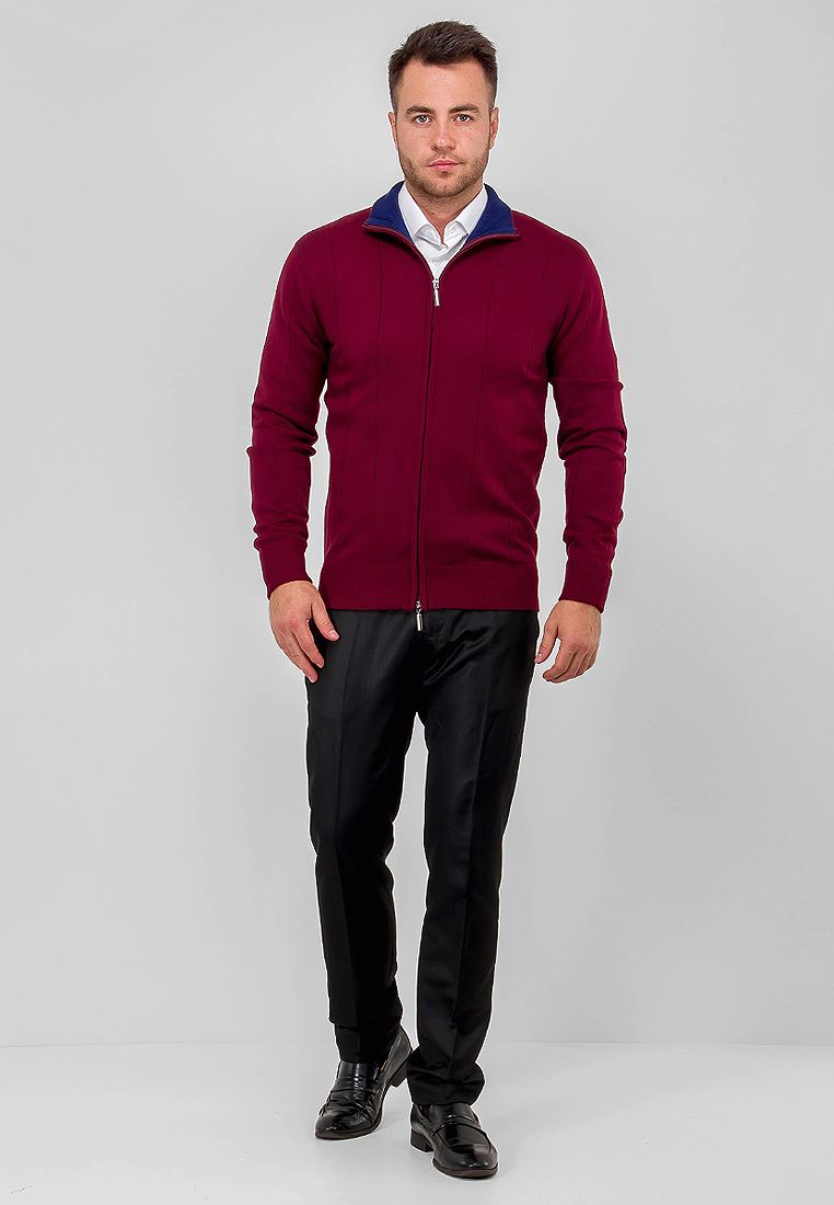 G139-12-лапша D2 (бордо/синий) Жакет мужской