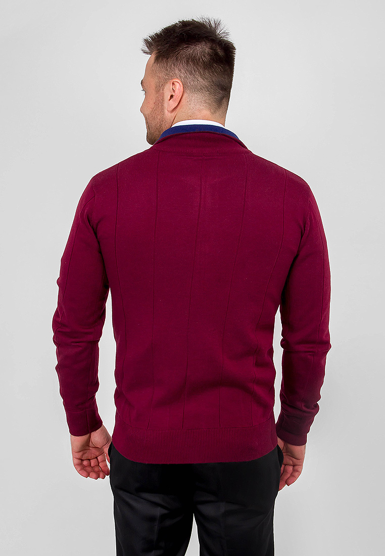 G139-12-лапша D2 (бордо/синий) Жакет мужской