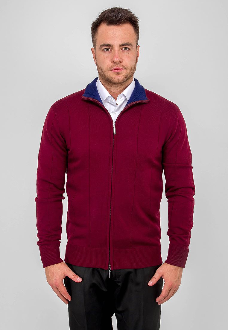 G139-12-лапша D2 (бордо/синий) Жакет мужской
