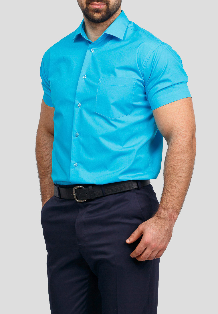 220/109/BRT/Z Сорочка мужская короткий рукав