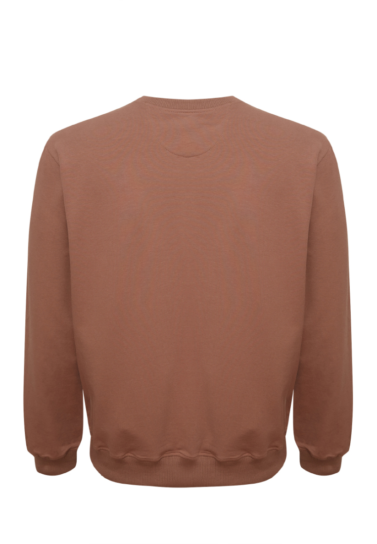 G121-OZ02-02 (кофейный) Свитшот мужской