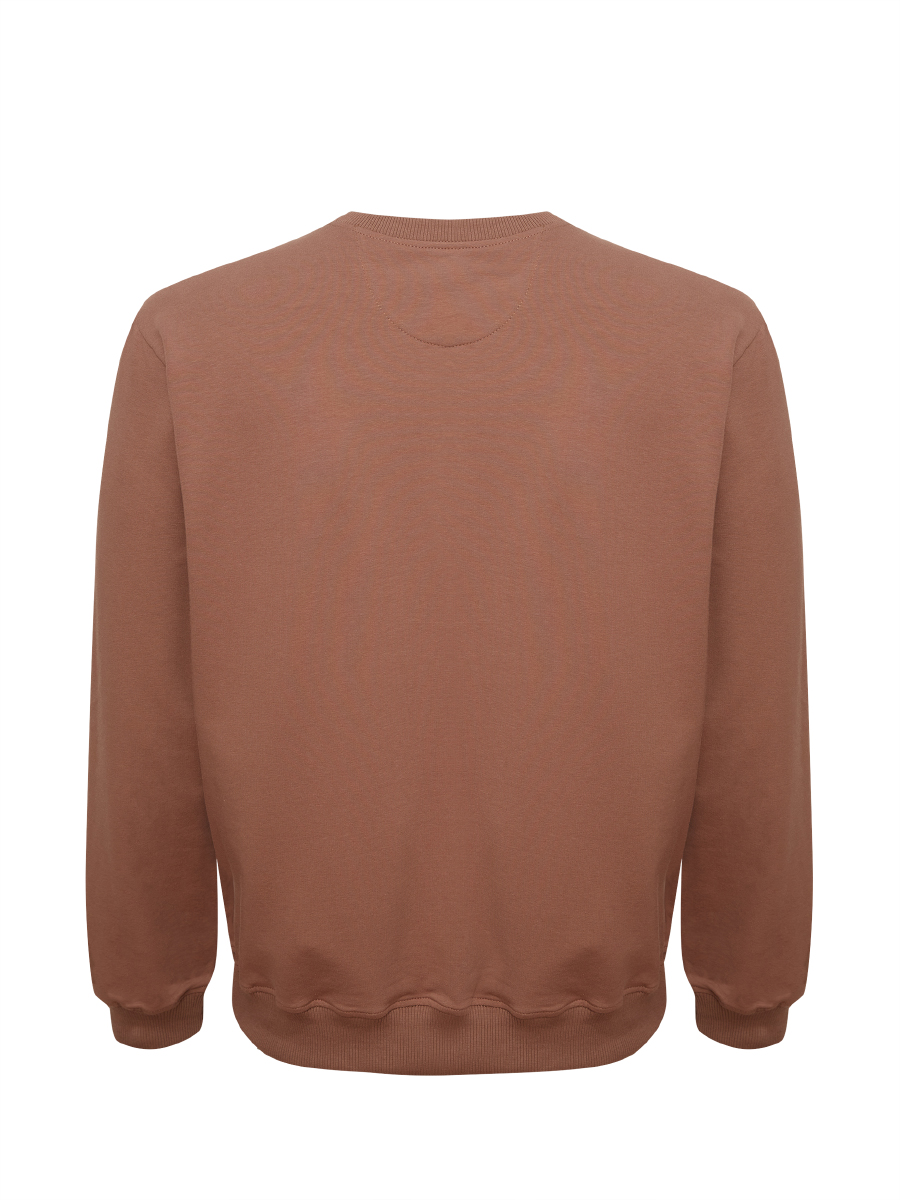 G121-OZ02-02 (кофейный) Свитшот мужской