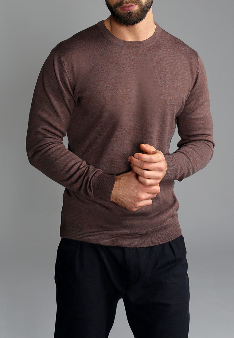 G121-EV (какао) Джемпер мужской