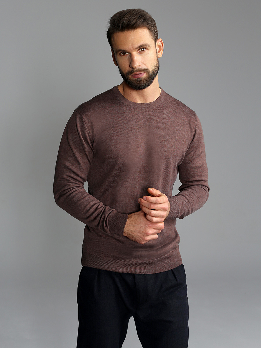 G121-EV (какао) Джемпер мужской