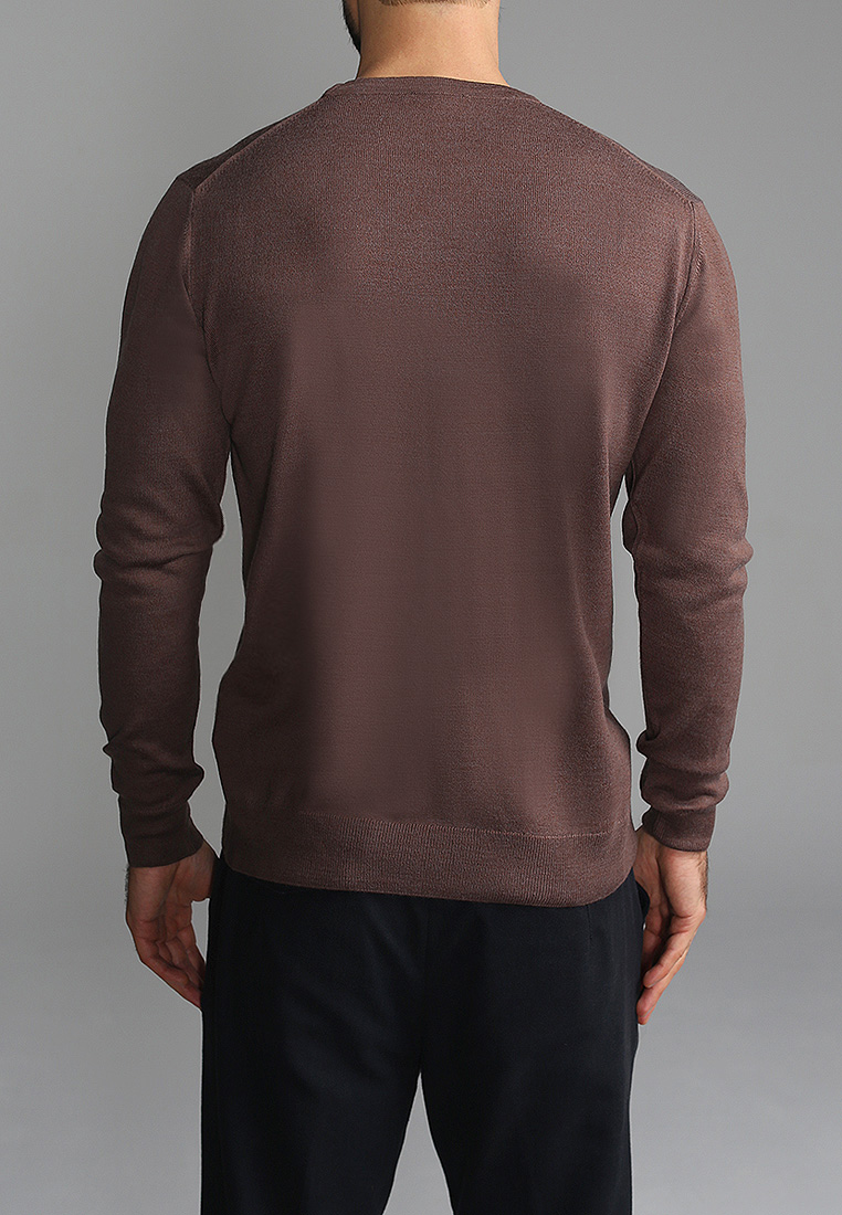 G121-EV (какао) Джемпер мужской