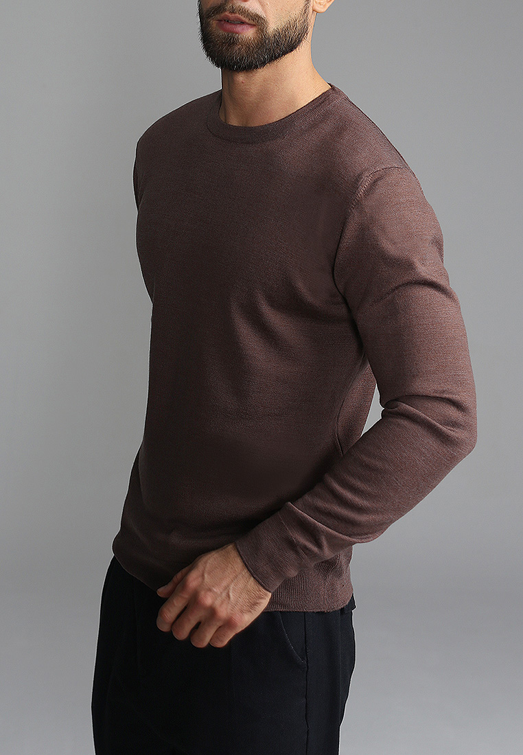 G121-EV (какао) Джемпер мужской