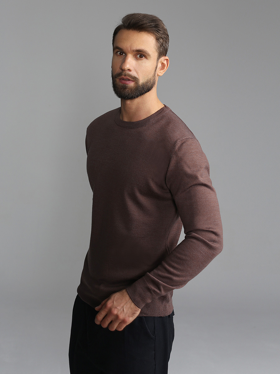 G121-EV (какао) Джемпер мужской