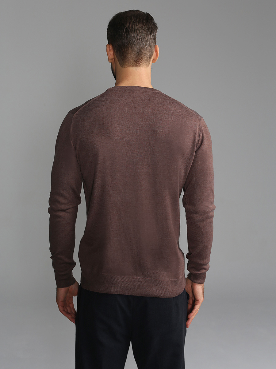 G121-EV (какао) Джемпер мужской
