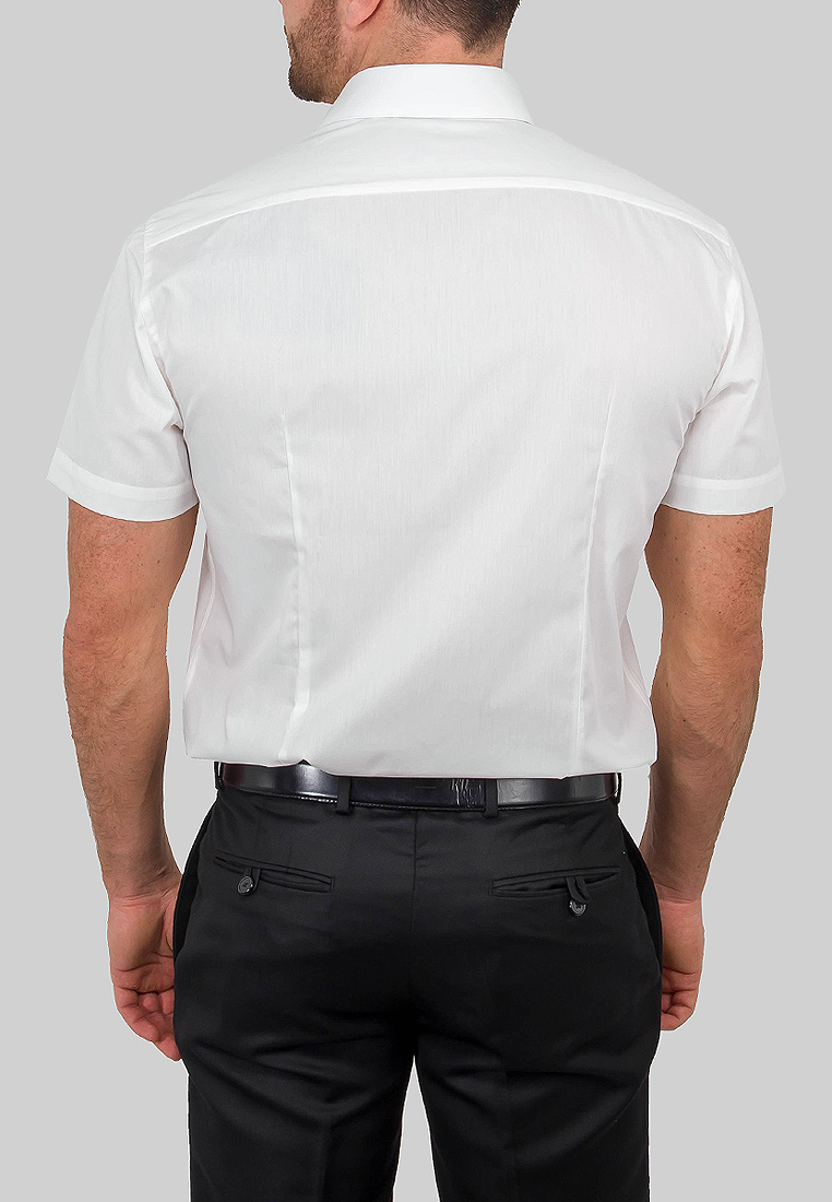 510/109/ALT/ZV Сорочка мужская короткий рукав