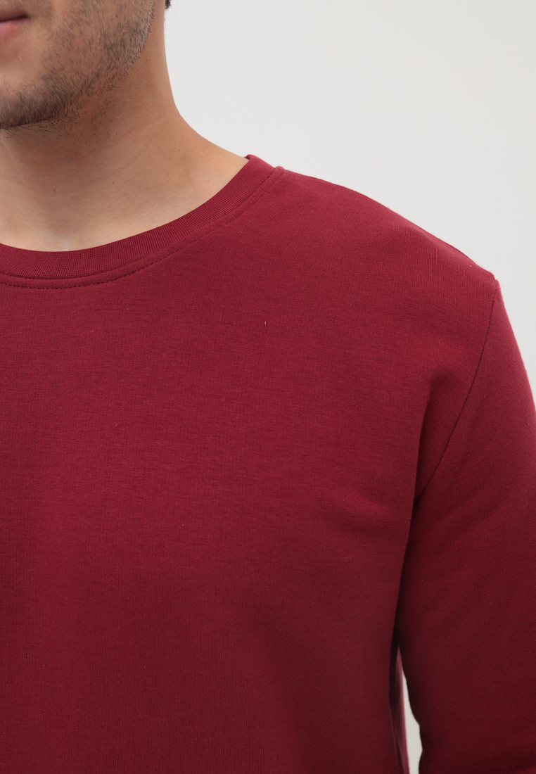 G121-RM-1061 (бордо) Свитшот мужской