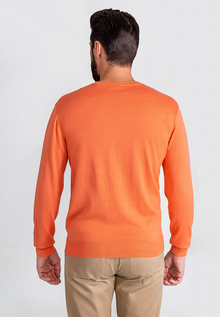G124-AC128 (коралл) Джемпер мужской
