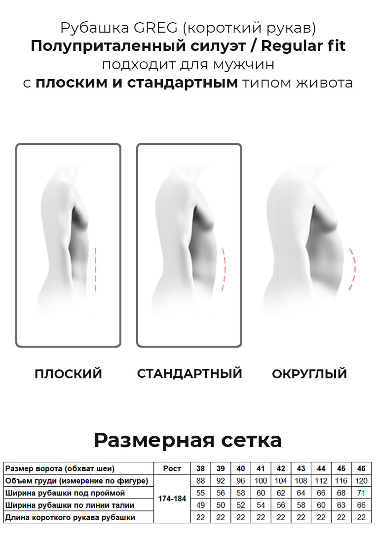 211/101/8059/Z/1p Сорочка мужская короткий рукав