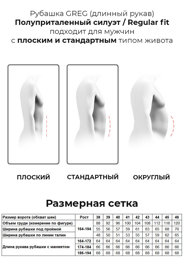 223/199/1170/Z_GB Сорочка мужская длинный рукав