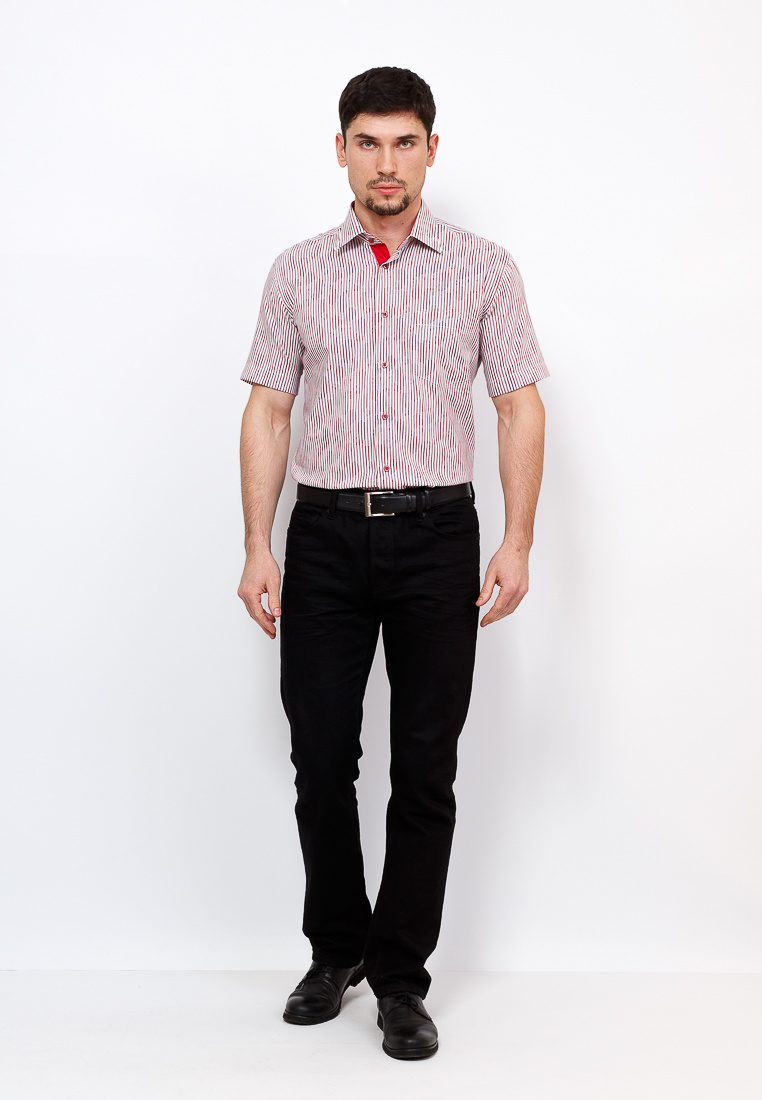 Gb613/309/5/Z/P/1 Сорочка мужская короткий рукав