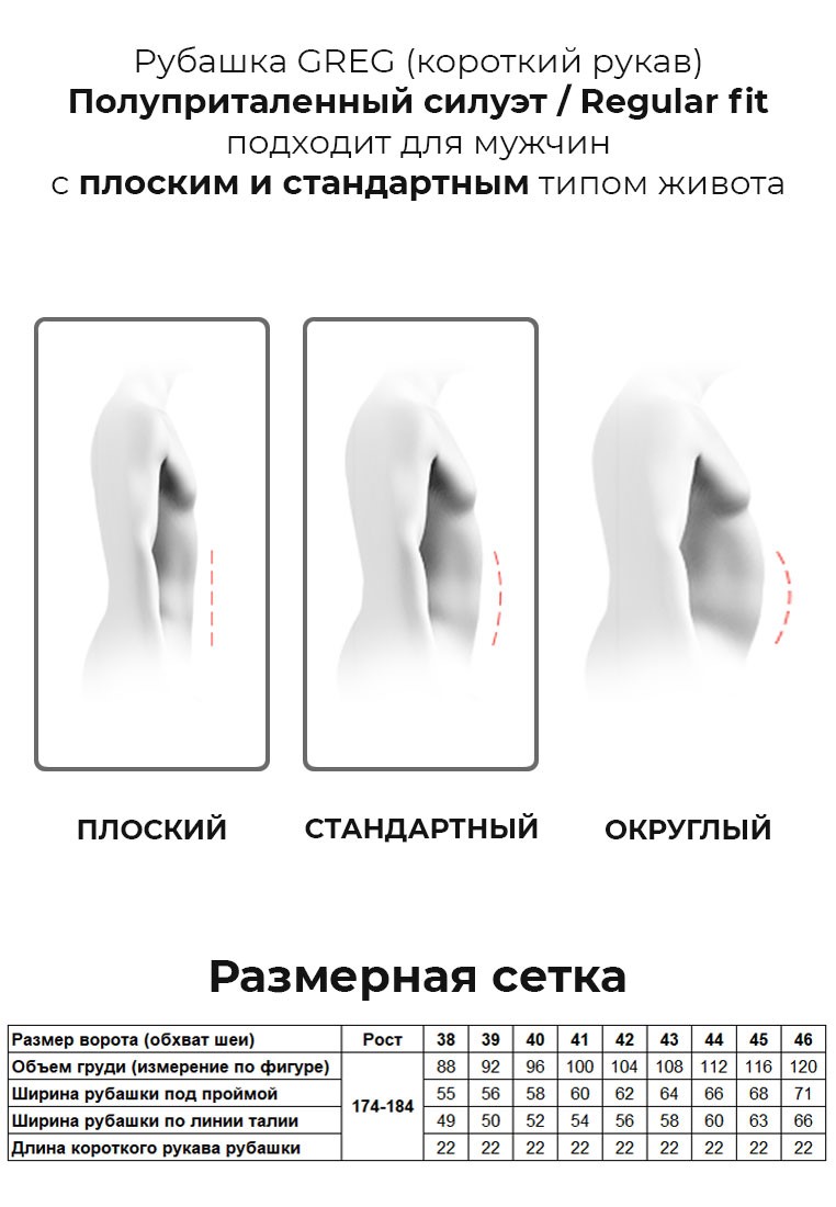 Gb613/309/5/Z/P/1 Сорочка мужская короткий рукав